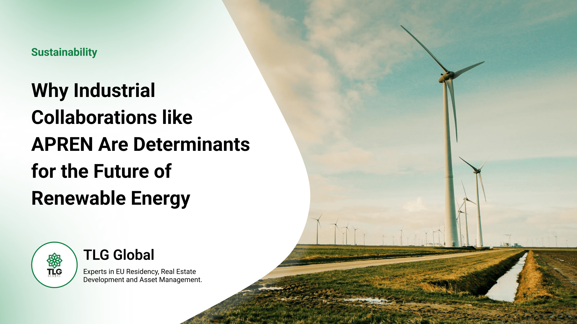 Why Industrial Collaborations like APREN Are Determinants for the Future of Renewable Energy - TLG Global Blog